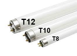 T8-T10-T12-V2