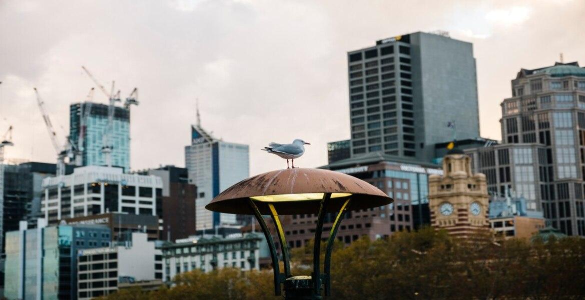 urban_port